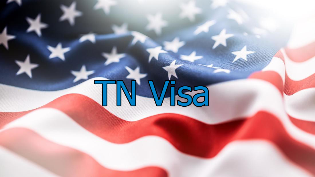 TN Visa in Houston. Immigration lawyer gasana